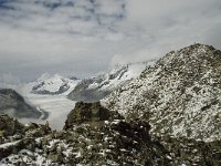 CH, Wallis, Fiesch, Eggishorn, Konkardiaplatz-Truegberg 6, Saxifraga-Willem van Kruijsbergen